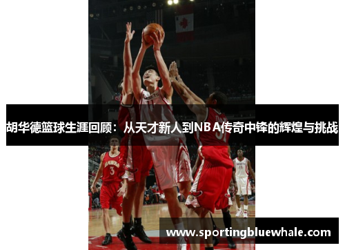 胡华德篮球生涯回顾：从天才新人到NBA传奇中锋的辉煌与挑战